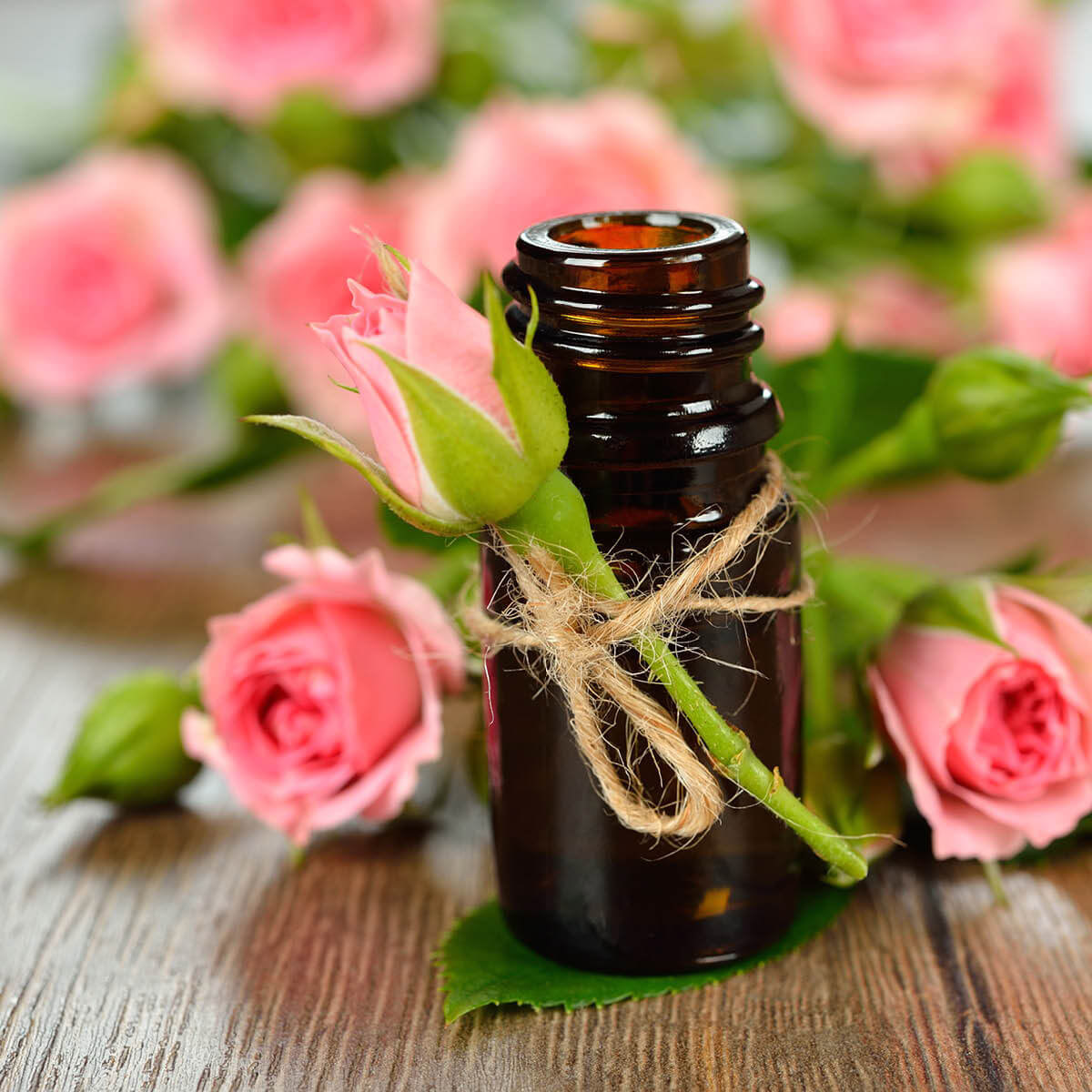 Ajanta Aromas
